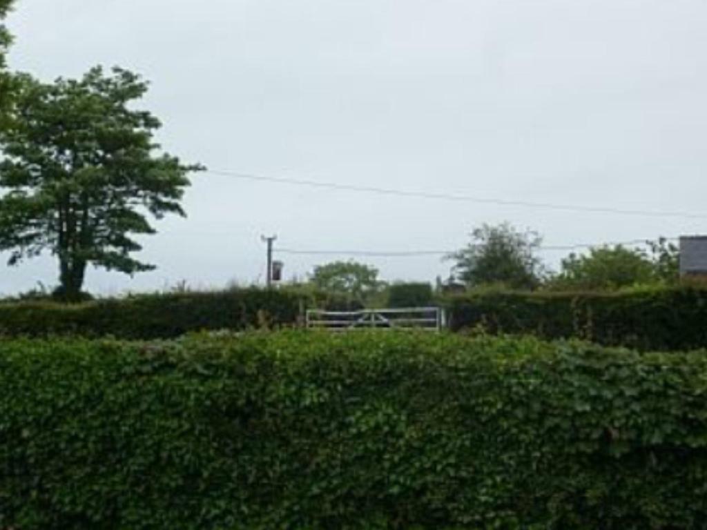 The Old Shop Villa Llandyfrydog Exterior foto